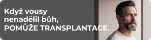 Transplantace vousů